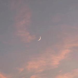 ATV在线观看免费播放
