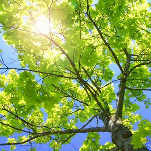 ATV在线观看免费播放
